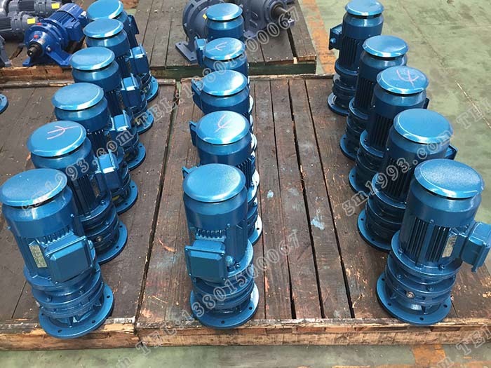 國(guó)茂立式擺線針輪減速機(jī)